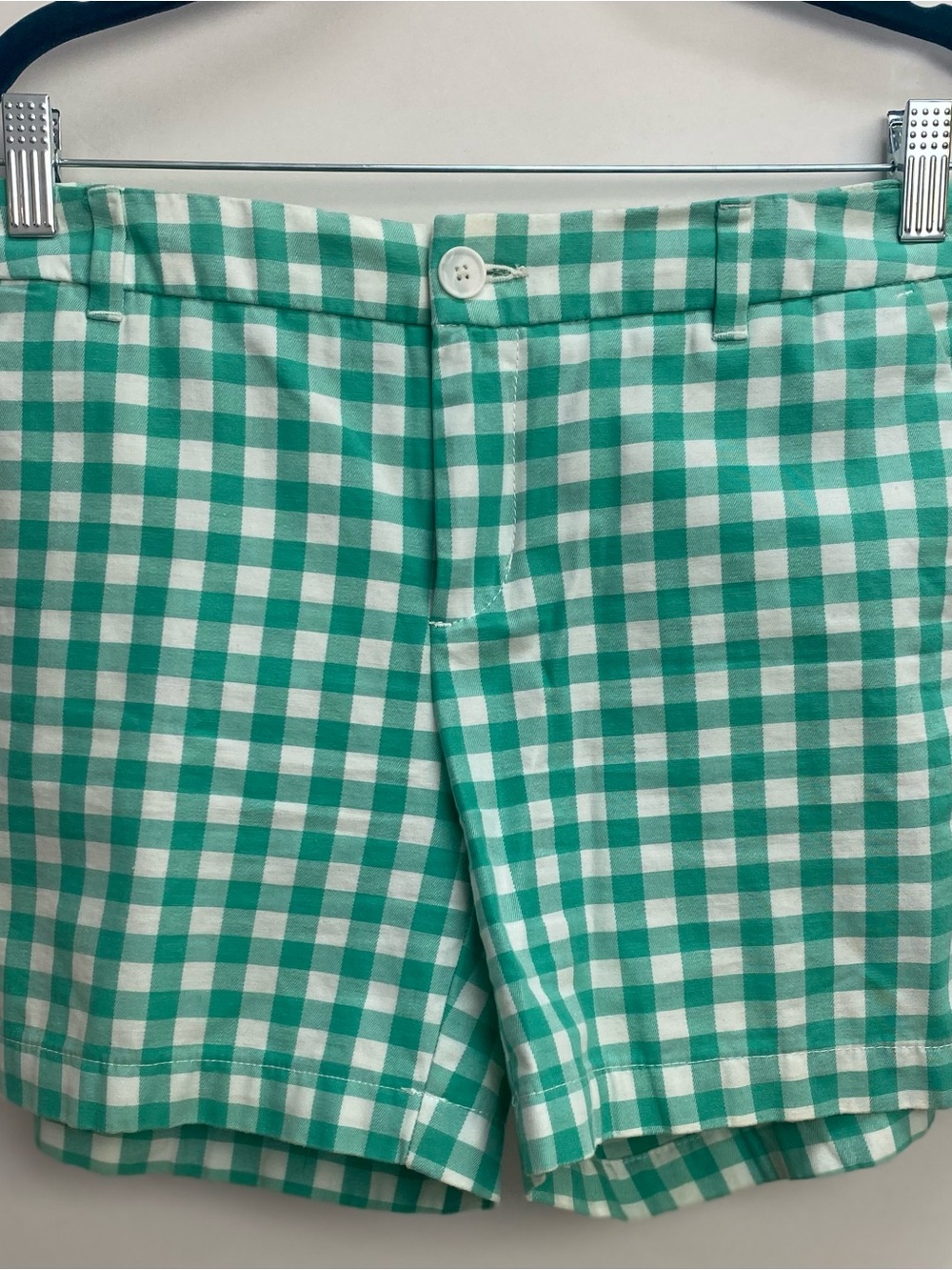 Merona Mint Green and White Gingham Shorts